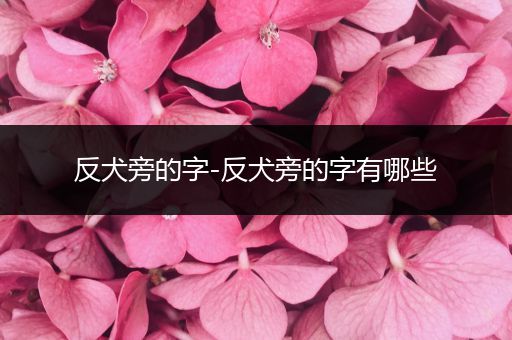 反犬旁的字-反犬旁的字有哪些
