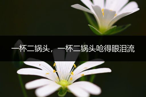 一杯二锅头,一杯二锅头呛得眼泪流