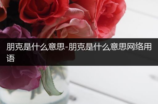 朋克是什么意思-朋克是什么意思网络用语