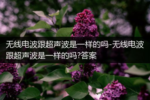 无线电波跟超声波是一样的吗-无线电波跟超声波是一样的吗?答案