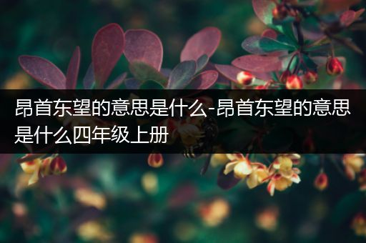 昂首东望的意思是什么-昂首东望的意思是什么四年级上册