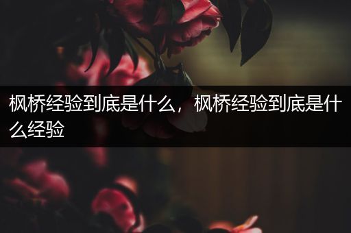 枫桥经验到底是什么,枫桥经验到底是什么经验