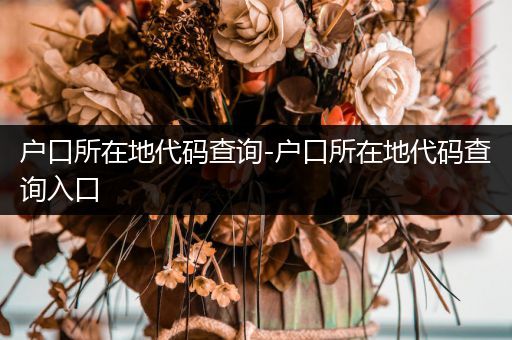户口所在地代码查询-户口所在地代码查询入口