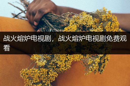 战火熔炉电视剧,战火熔炉电视剧免费观看