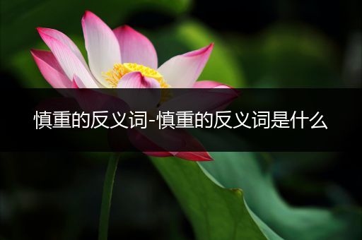 慎重的反义词-慎重的反义词是什么