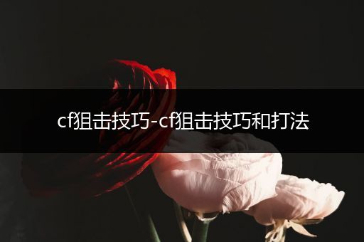cf狙击技巧-cf狙击技巧和打法