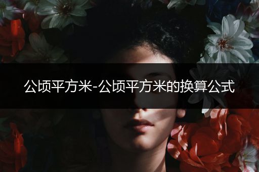 公顷平方米-公顷平方米的换算公式