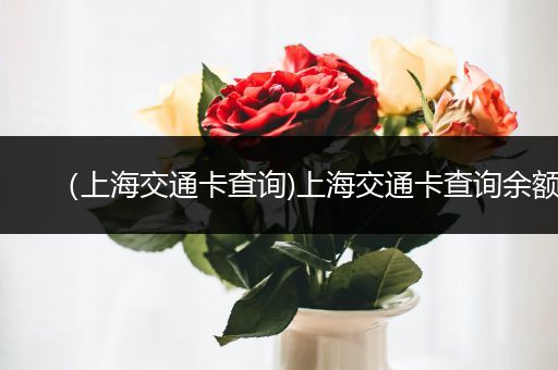 (上海交通卡查询)上海交通卡查询余额