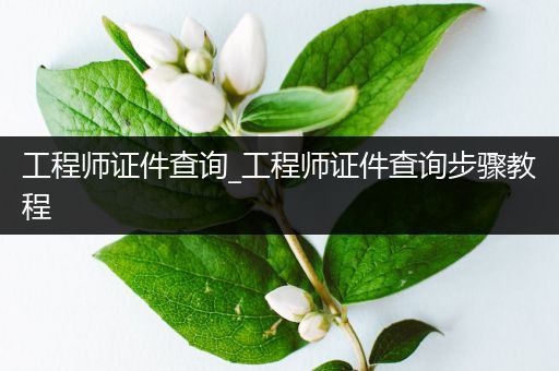 工程师证件查询_工程师证件查询步骤教程