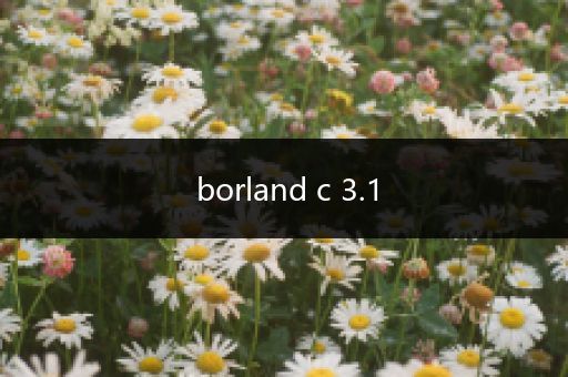 borland c 3.1