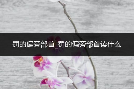 罚的偏旁部首_罚的偏旁部首读什么
