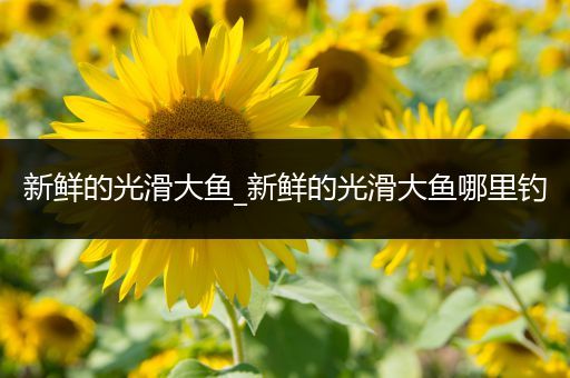 新鲜的光滑大鱼_新鲜的光滑大鱼哪里钓
