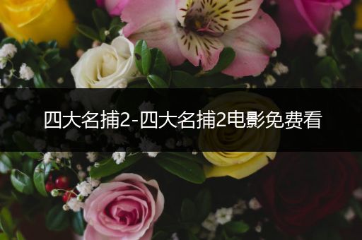 四大名捕2-四大名捕2电影免费看