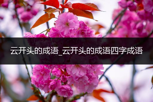 云开头的成语_云开头的成语四字成语