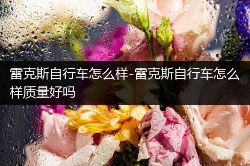 雷克斯自行车怎么样-雷克斯自行车怎么样质量好吗