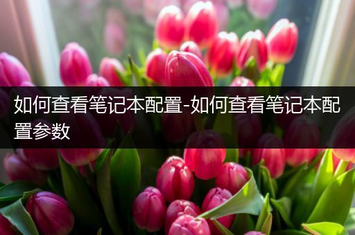 如何查看笔记本配置-如何查看笔记本配置参数