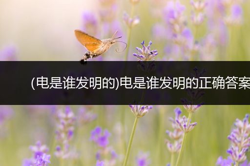 (电是谁发明的)电是谁发明的正确答案