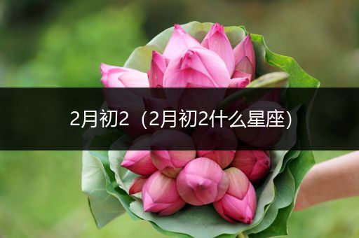 2月初2(2月初2什么星座)