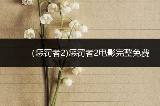 (惩罚者2)惩罚者2电影完整免费