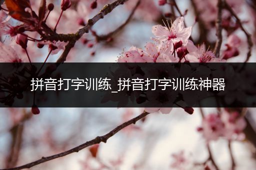 拼音打字训练_拼音打字训练神器