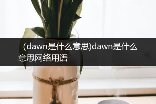 (dawn是什么意思)dawn是什么意思网络用语