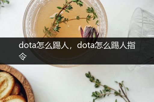 dota怎么踢人,dota怎么踢人指令