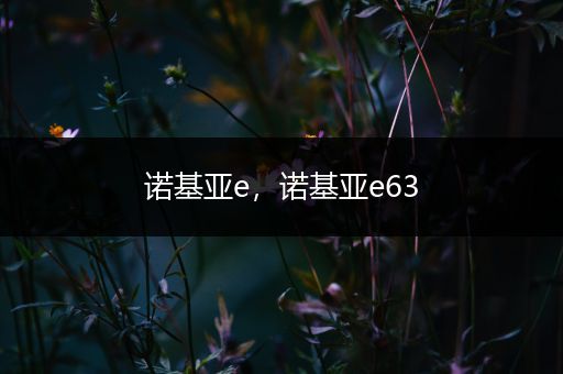 诺基亚e,诺基亚e63