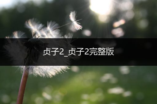 贞子2_贞子2完整版