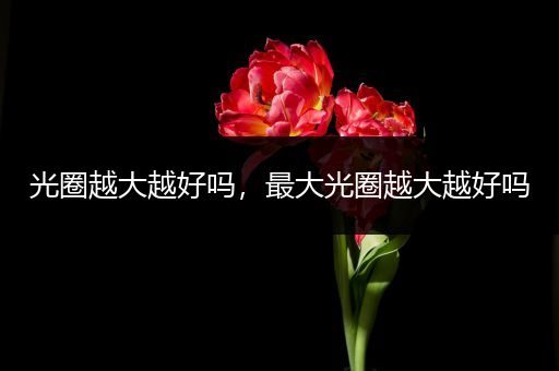 光圈越大越好吗,最大光圈越大越好吗