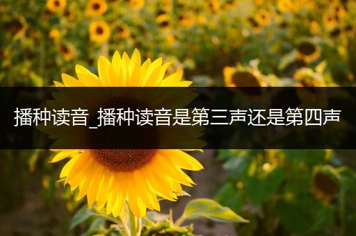 播种读音_播种读音是第三声还是第四声
