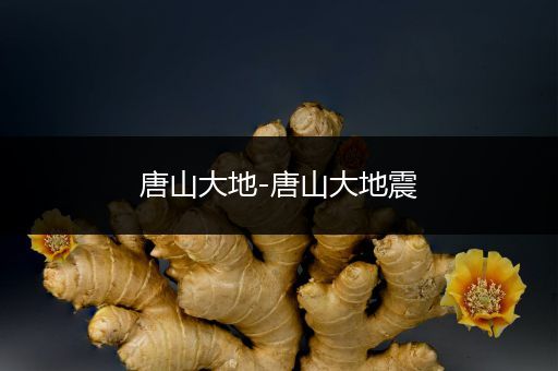 唐山大地-唐山大地震