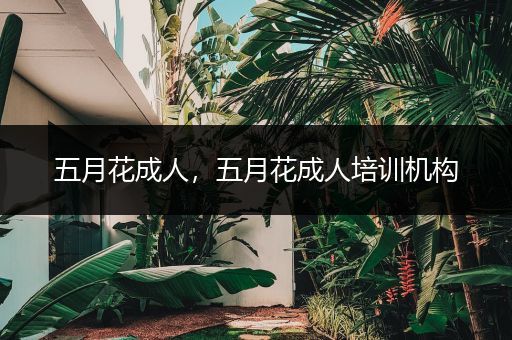 五月花成人,五月花成人培训机构