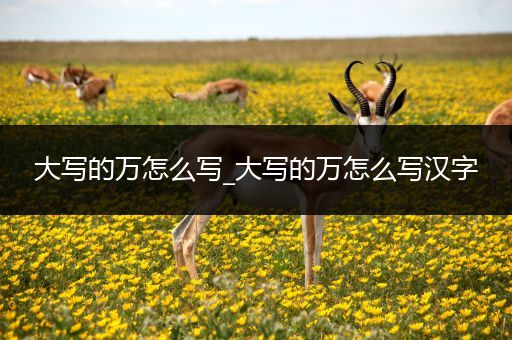 大写的万怎么写_大写的万怎么写汉字