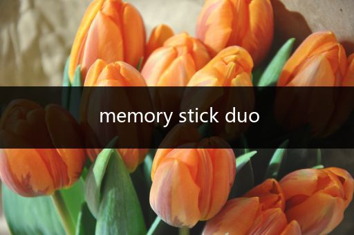 memory stick duo