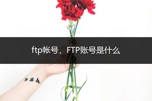 ftp帐号,FTP账号是什么
