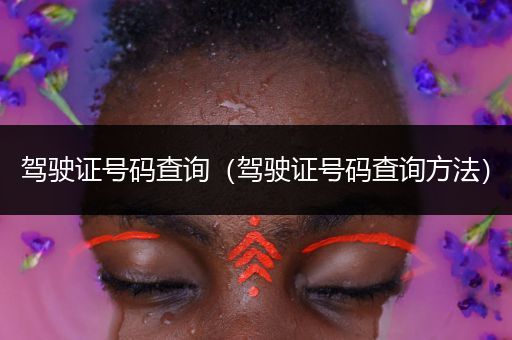 驾驶证号码查询(驾驶证号码查询方法)