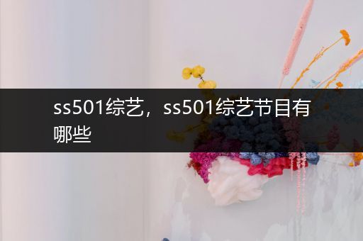 ss501综艺,ss501综艺节目有哪些