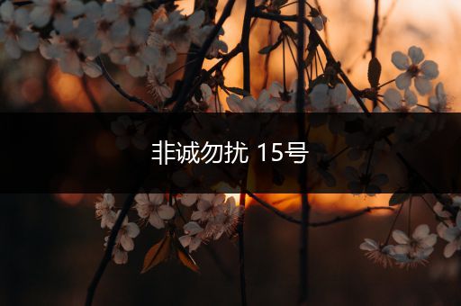 非诚勿扰 15号