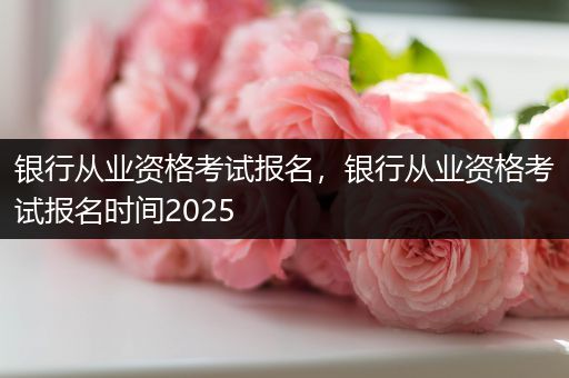 银行从业资格考试报名,银行从业资格考试报名时间2025