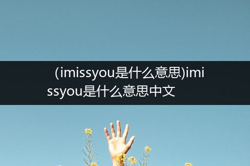(imissyou是什么意思)imissyou是什么意思中文
