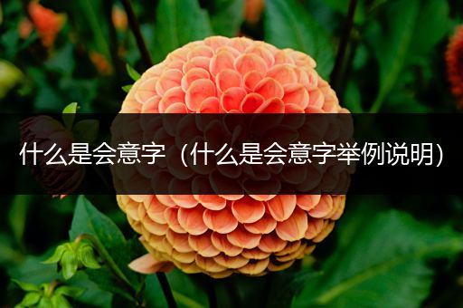 什么是会意字(什么是会意字举例说明)