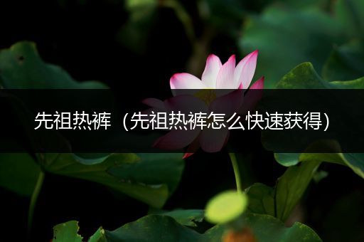 先祖热裤(先祖热裤怎么快速获得)