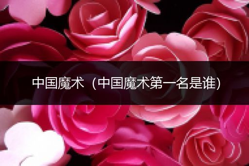 中国魔术(中国魔术第一名是谁)
