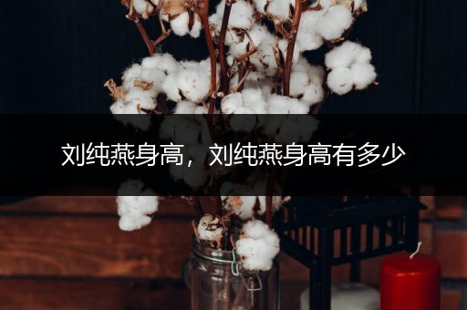 刘纯燕身高,刘纯燕身高有多少