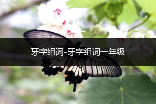 牙字组词-牙字组词一年级