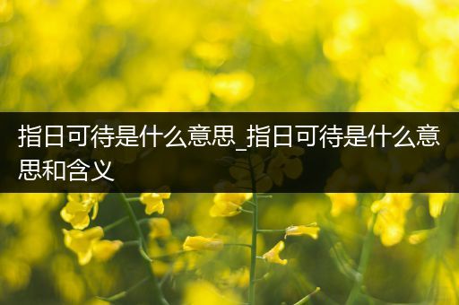 指日可待是什么意思_指日可待是什么意思和含义