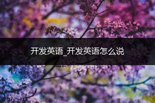 开发英语_开发英语怎么说