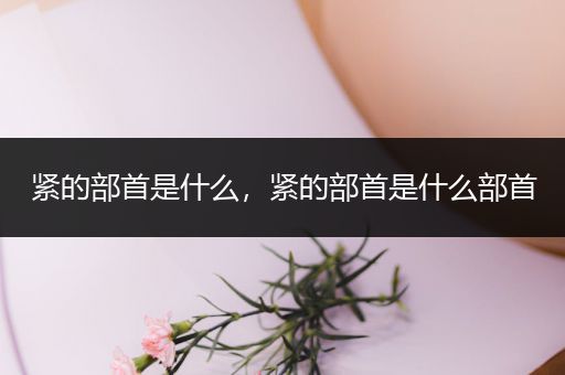 紧的部首是什么,紧的部首是什么部首