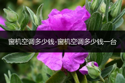 窗机空调多少钱-窗机空调多少钱一台