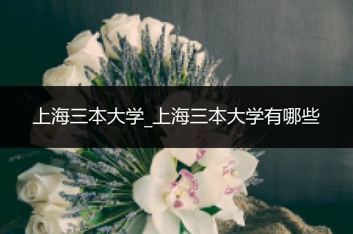 上海三本大学_上海三本大学有哪些